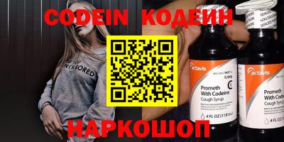 спиды Камышлов