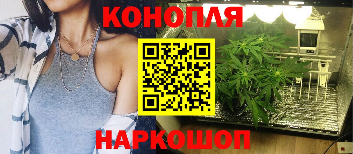 Бошки марихуана Amnesia Кунгур